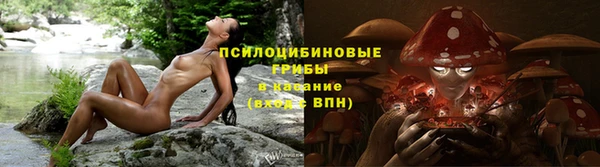 дживик Балахна