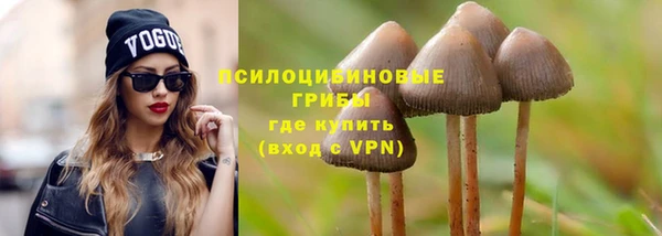 дживик Балахна